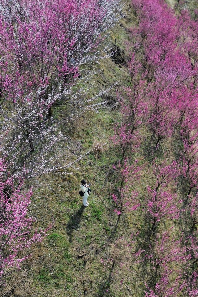 誤入仙境，西安偷偷藏了個「賣花漁村」