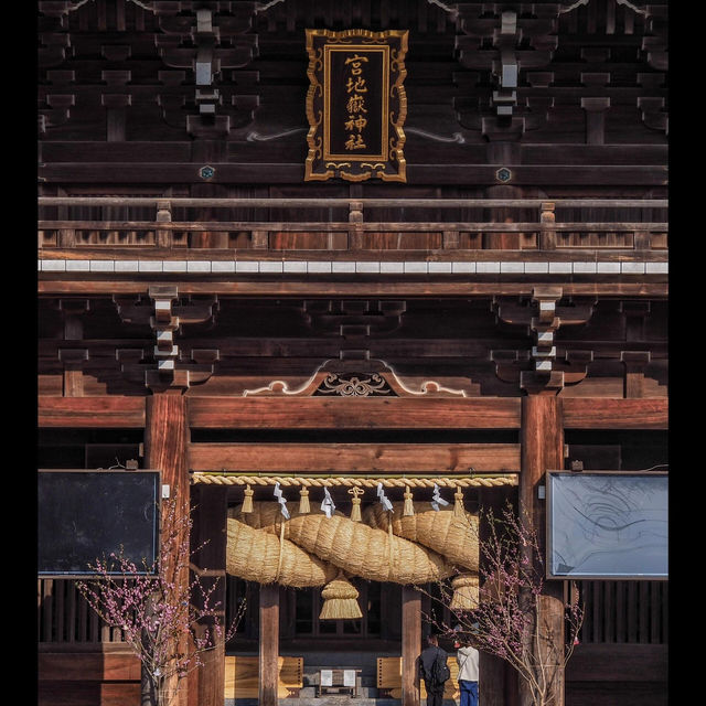 日本｜福岡周邊「光之道」追光攻略，錯過等半年