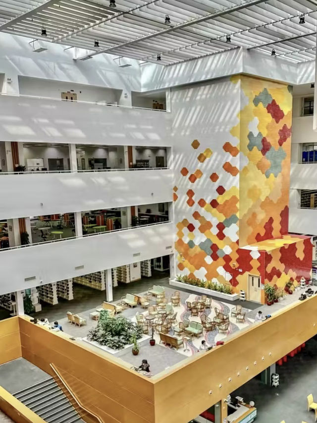 學府書香與海天一色——澳門大學與路環漫步