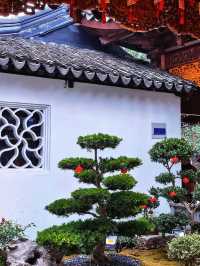 姑蘇城外，夜泊楓橋悟禪心。
