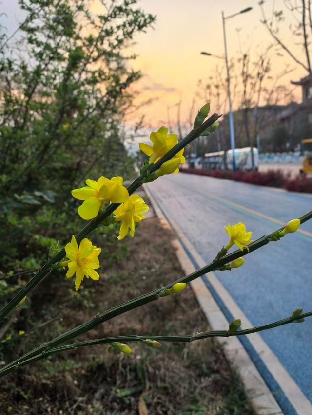 昆明滇池綠道：徒步與觀景的完美結合