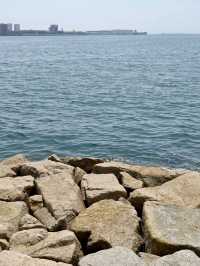 公園與海的對話