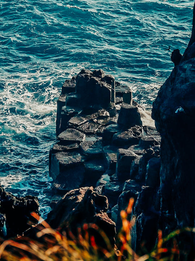 清明節去西歸浦賞油菜花 | 韓國濟州島
