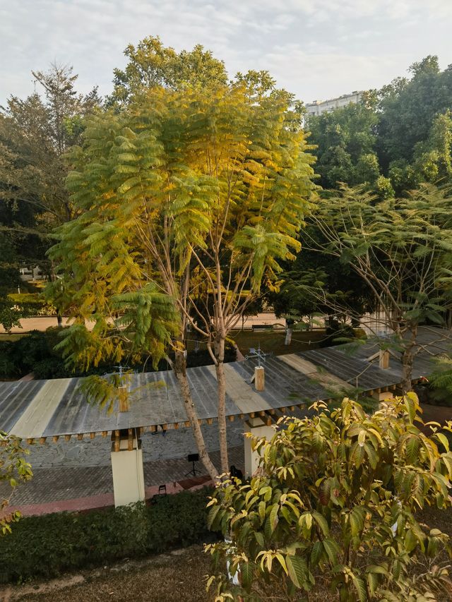 廈門山海健康步道狐尾山段全線打卡攻略