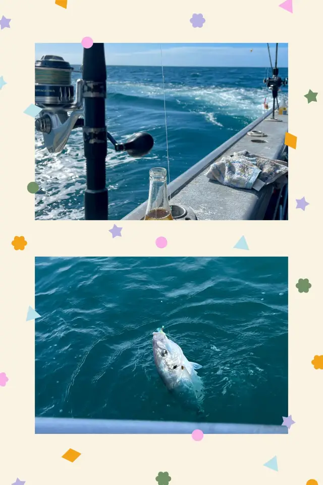 샌디에이고로 떠나는 미식 여행: 바다 낚시와 미각, 시각의 향연을 즐겨보세요.