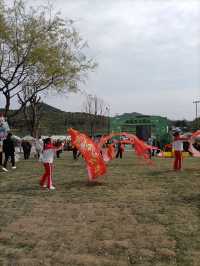 袁花梨花紀：野鴨戲水春意濃