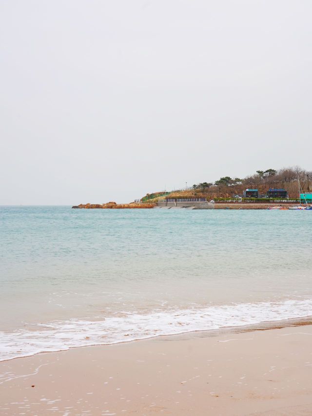 青島3天2夜保姆級攻略｜本地人私藏玩法