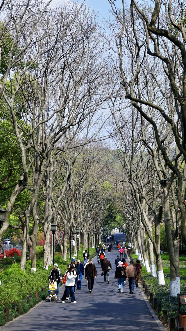西湖風景名勝區遊玩攻略