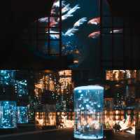 廣州拍照｜藏在廣州正佳極地海洋公園的夢幻海洋世界🐋
