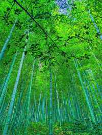 常州溧陽48小時春日狂想！