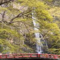 逃離大阪市區喧囂，奔赴箕面北公園吸氧啦🌿