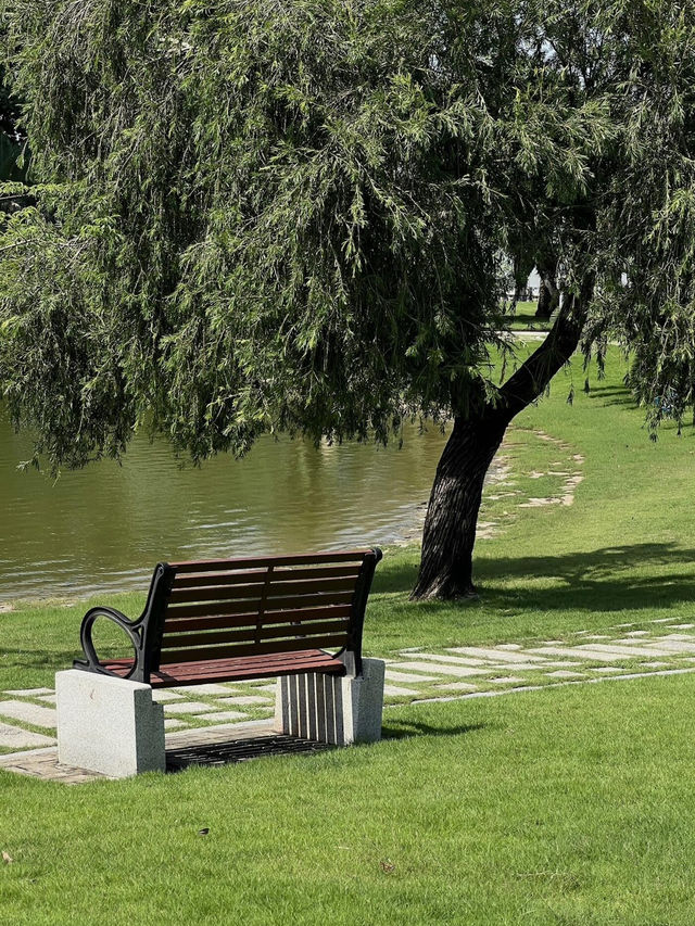 珠海海濱公園：野餐的夢幻之境