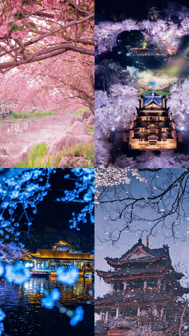4月旅行天花板！這5條路線美到詞窮！