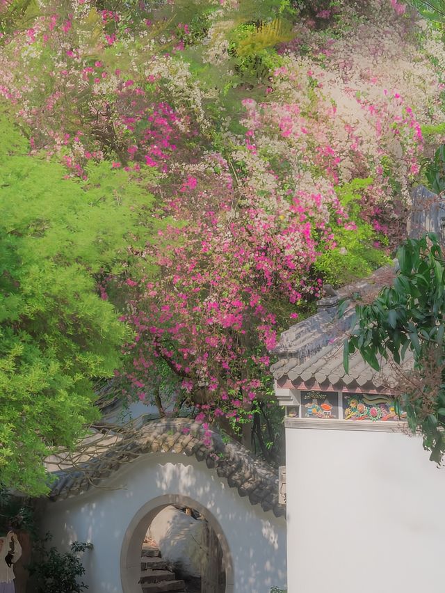 在園博園，看到了春日賞花天花板
