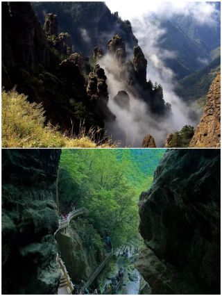 First trip to Shennongjia? Just copy this guide!