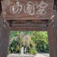 🌿【福岡聖福寺｜鬧市中靜藏千年的唐宋遺風】