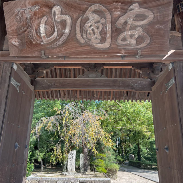 🌿【福岡聖福寺｜鬧市中靜藏千年的唐宋遺風】