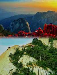 等等 什麼？ 華山 點進來讓你看看什麼是真正的華山