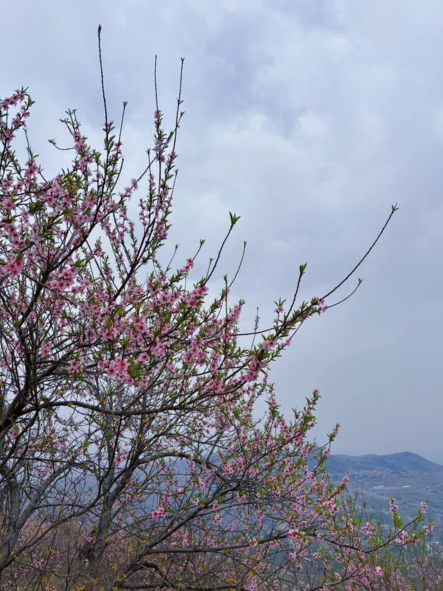 老幼皆宜鄭州40min找到的小眾免費爬山