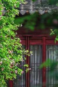 四月藝圃春色美
