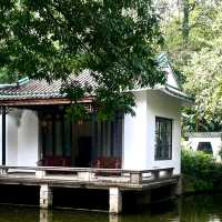 廣州蘭圃｜藏身都市的森林花園