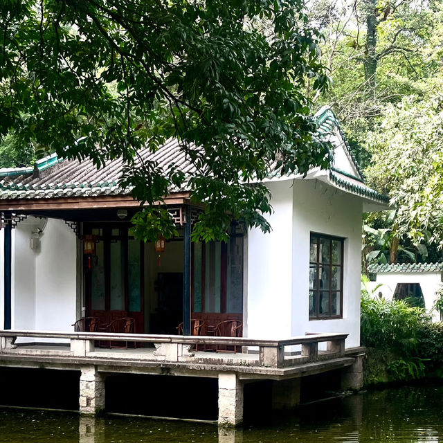 廣州蘭圃｜藏身都市的森林花園