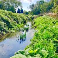 River Freshney: A Hidden Wildlife Gem in Grimsby