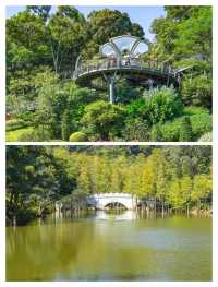 廣州新晉頂流！被問爆嘅「雲蘿植物園」保姆級攻略