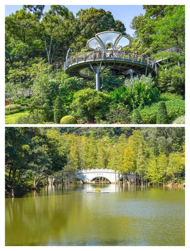 廣州新晉頂流！被問爆嘅「雲蘿植物園」保姆級攻略