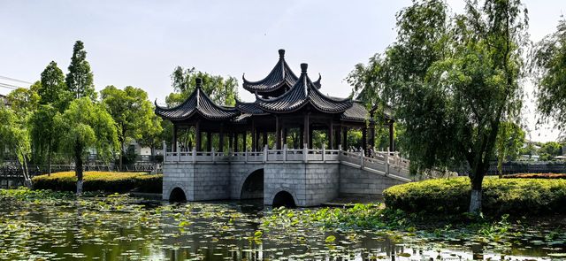 人傑地靈嘅金壇