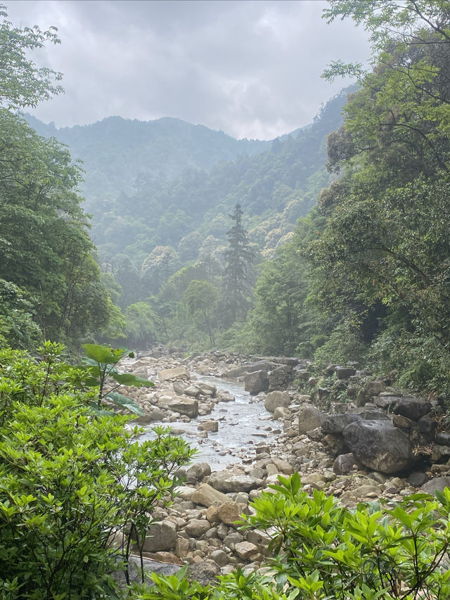 賀州姑婆山吸氧攻略