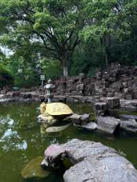 打卡江陰鵝鼻嘴公園