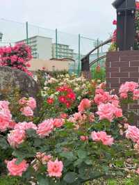 東京荒川遊園交通攻略：輕鬆抵達的詳細指南