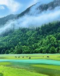 康定之旅：邂逅浪漫與自然