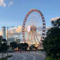 去咗香港七次都未玩夠！5-7月去玩記住呢啲攻略，