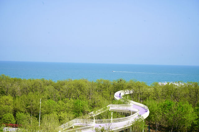 喺日照，聽講咁樣嘅海景度假樹屋得6間！