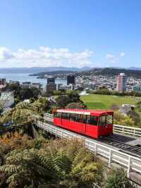 懶人包｜一篇文章睇清新西蘭最佳旅遊時間