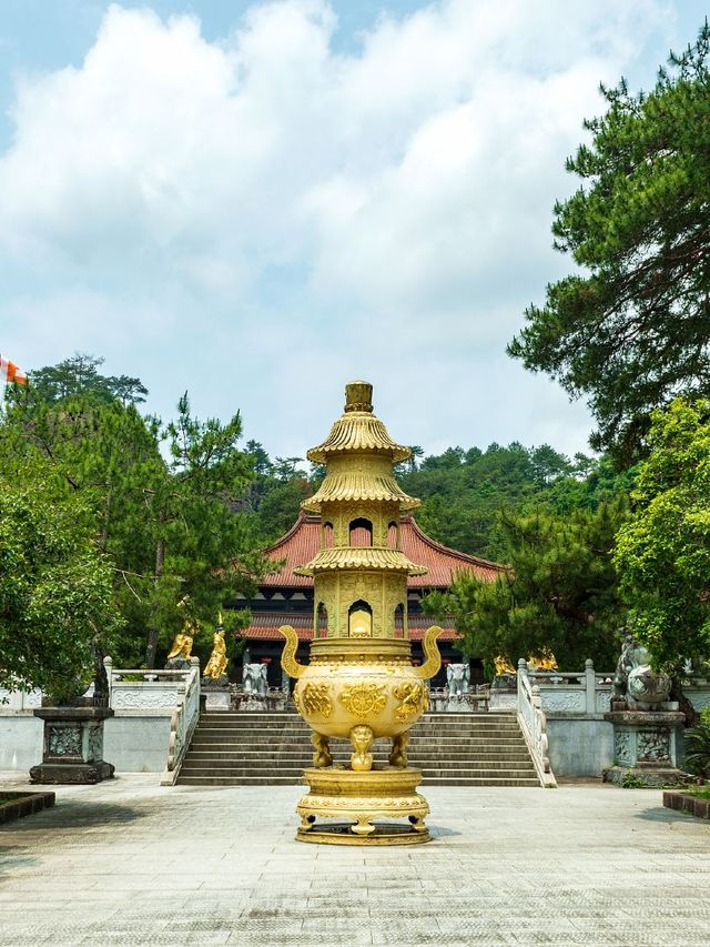 武夷山2日遊 玩轉全城不踩雷