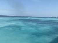 鼓浪嶼號後遺症！！
