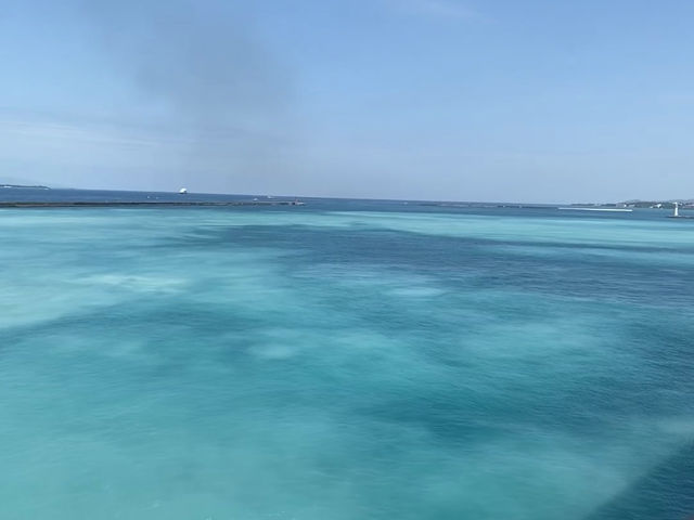 鼓浪嶼號後遺症！！