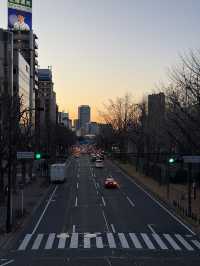 Top Tips For Nagoya, Like A Cheaper Tokyo! You Can Afford This Trip :D