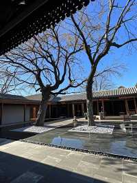 緊急通知！北京呢個神秘四合院俾細路當成探險基地！