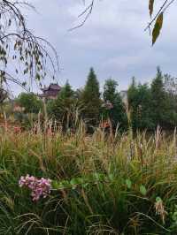 Some places are too peaceful to be famous: Discover a Hidden Gem 40 min from Yiwu