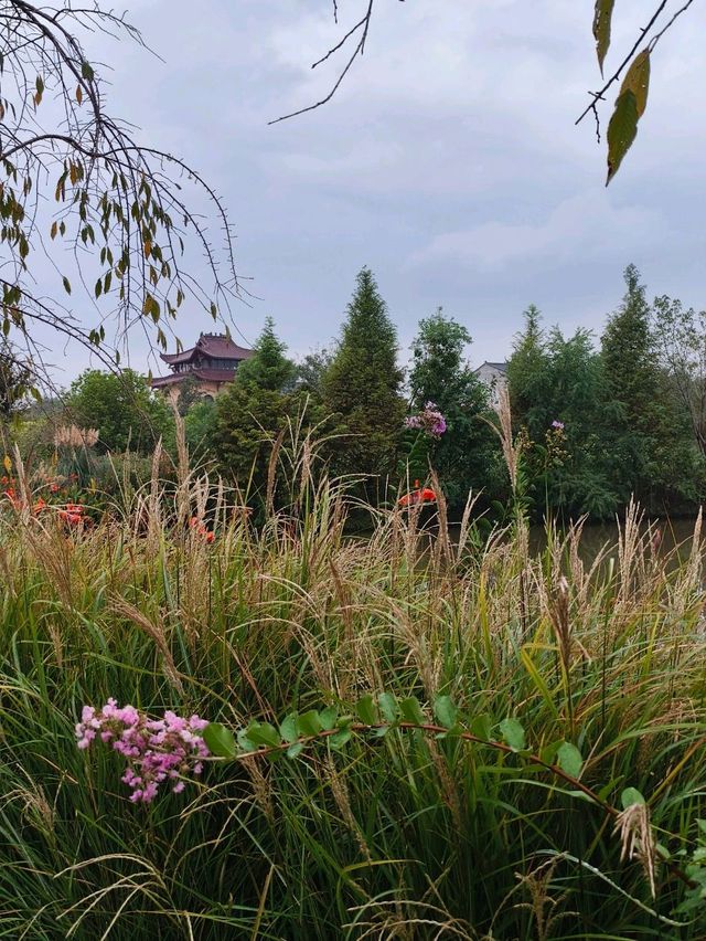 Some places are too peaceful to be famous: Discover a Hidden Gem 40 min from Yiwu