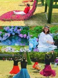 夏日嘅揚州，呢片松林同花海真係令人驚艷