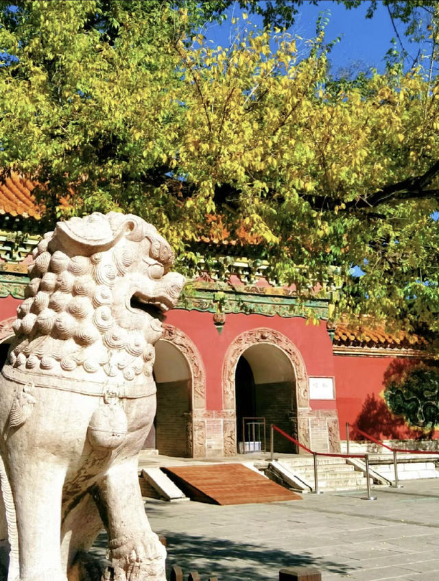 穿越百年，邂逅東陵嘅歷史光影