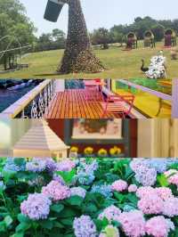 揚州，住進繡球花海同森林包圍嘅莊園