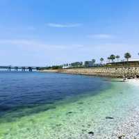 🌊炸裂！大阪臨空城驚現果凍海，關西機場旁的視覺暴擊