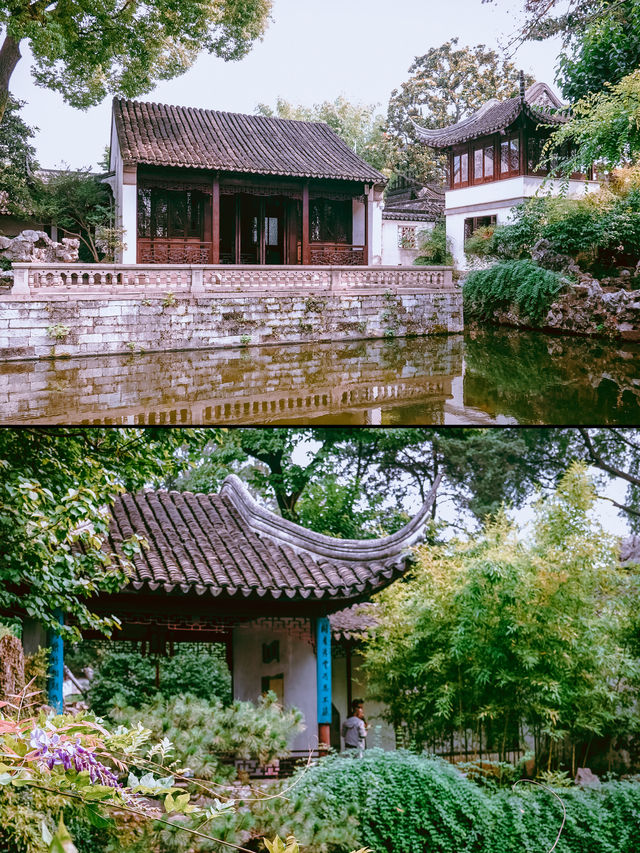 獅子林｜700年禪意園林嘅前世今生