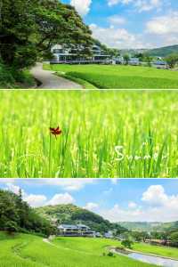 廣州地鐵可達我願意去無數次的世外桃源